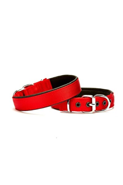 Lion Pet Köpek Tasması Soft Büyük Irklara Kırmızı 70 Cm 3 Cm Genişlik