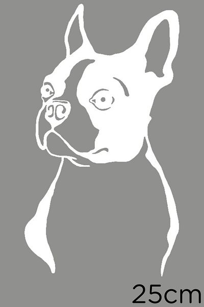 MIGNATIS Atenție Autocolant Boston Terrier Etichetă Lipire 25cm - Alb