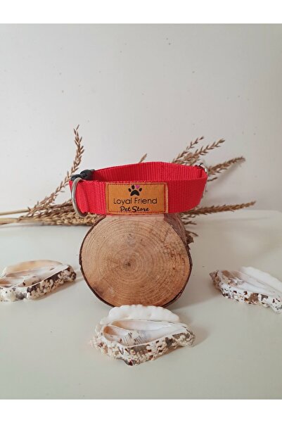 Loyal Friend Store Kırmızı Renk Köpek Boyun Tasması (30-45 Cm)