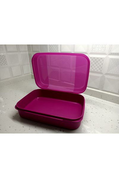 Tupperware F20 Model Storage Container