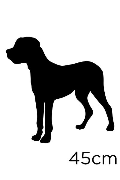 MIGNATIS Autocolant Câine Great Dane Etichetă Pastă 45 Cm - Negru