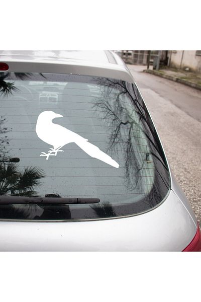 MIGNATIS Autocolant Frumoasa Pasăre Cu Coada Lungă Privind Înapoi 45 Cm - Alb
