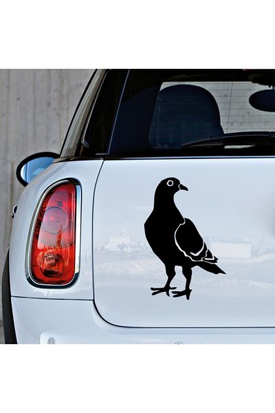 New Jargon Autocolant Paste Long Dove 45cm - Negru