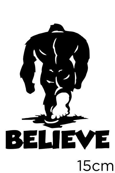 New Jargon Believe Believe Don't Turn Around Autocolant 15cm - Negru