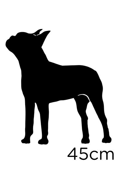 New Jargon Autocolant Pitpull Dog Etichetă 45cm - Negru
