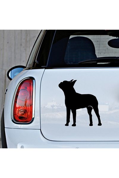 New Jargon Autocolant Pitpull Dog Etichetă 45cm - Negru