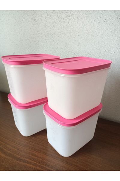 Tupperware Alaska Set of 4