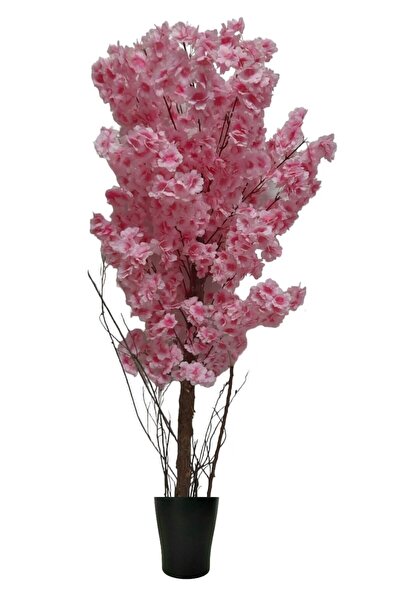 ERHAN FLOWERS PEMBE BAHAR DALI 170 CM PLASTİK SAKSI