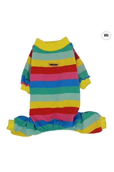 Pawstar Renk Uyumu Tulum L