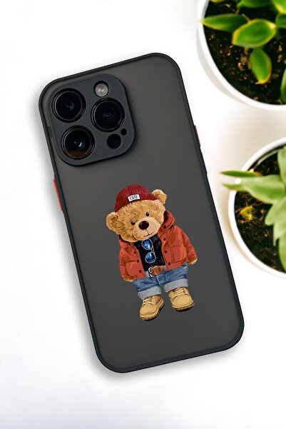 mooodcase iPhone 13 Pro Max Uyumlu Teddy Bear Desenli Buzlu Şeffaf Lüx Telefon Kılıfı