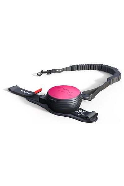 Lishinu Smart Control Bungee Dog Walking Leash Pink L 13-40 kg
