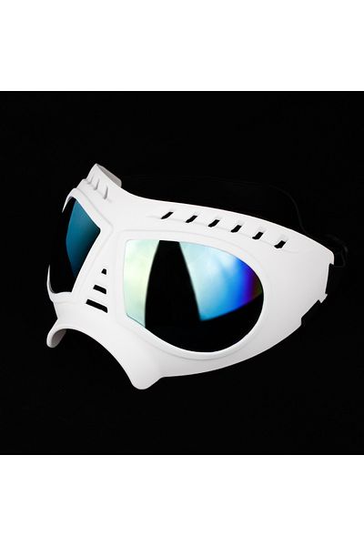 RAIKOU dog sunglasses UV protection