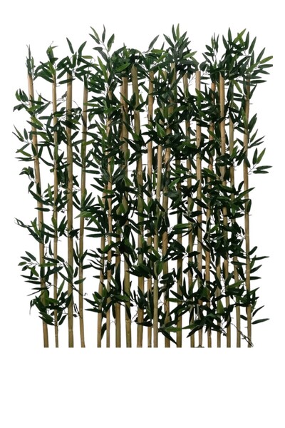 ERHAN FLOWERS 10'lu bambu 170 cm