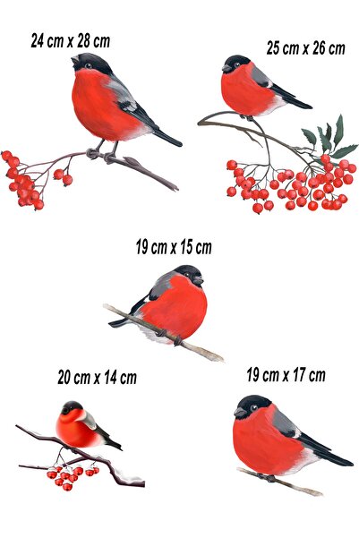 MAARS Yılbaşı Kış Kuşları 5 parça Cam Duvar Sticker