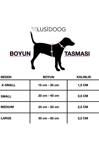 Lusi Doog Köpek Tasma Seti Köpek Boyun Tasması Köpek Gezdirme Halatı
