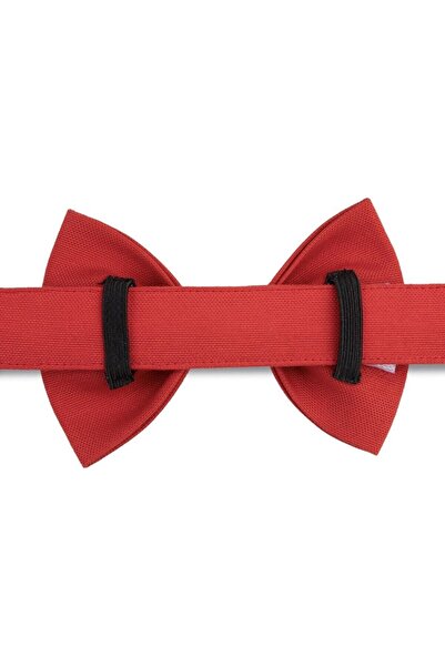 Lusi Doog Kırmızı Papyonlu Köpek Tasması ve Gezdirme Kayış Seti