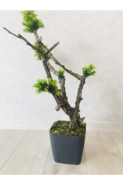 Asenya Yapay Çiçek 40-80 Cm Saksıda Bonsai Yapay Bitki Ağaç Saksıda Yapay Çiç...