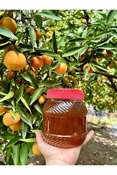 TREND Organik Karaçalı Balı 2 kg