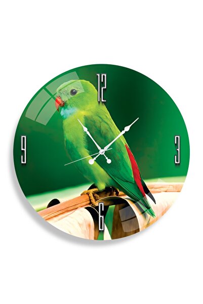 EMYA HOME ساعة ببغاء زجاجية - 40 سم