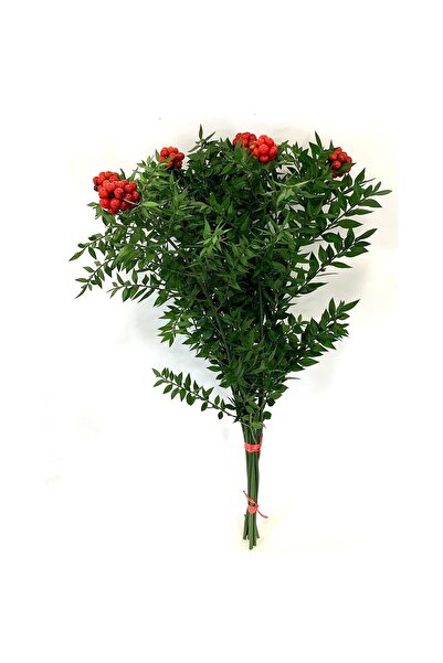 Chloriss Garden Canlı Yılbaşı Çiçeği Şans Bitkisi Kokina 1 Demet (6 dallı)