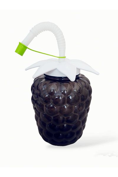 EbruliHomeArt Black Grape Straw Water Bottle 750 ML Children's Water Bottle