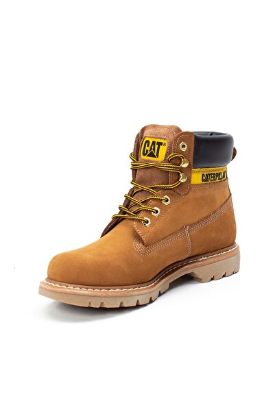 Cat 015m0031 Camel Colorado Erkek Bot