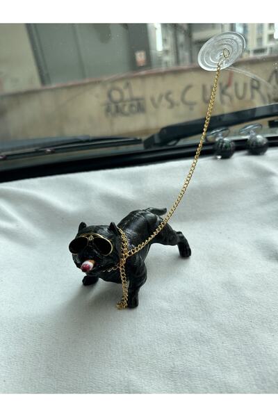 MR Siyah Torpido Üstü Zincirli Pitbull Köpek