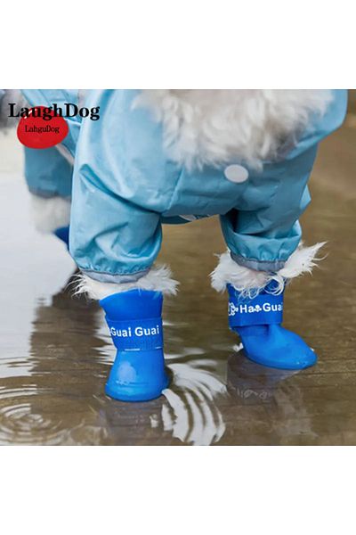 Hediye Rüzgarı EVCİL ANIMAL SHOES 4-PACK