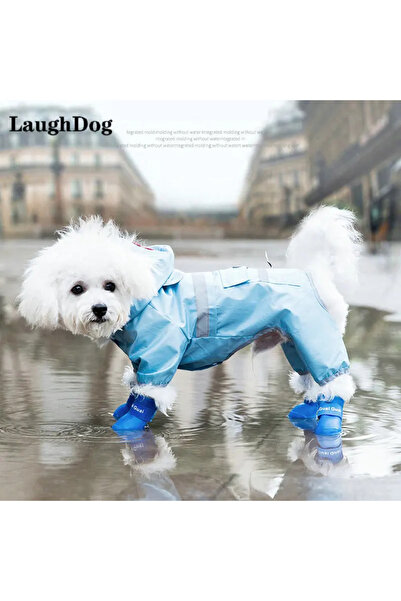 Genel Markalar Renkli 4'lü evcil hayvan ayakkabısı, sevimli ve rahat tasarım