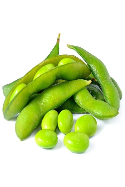 Köy Tohumları 100 Adet Tohum Organik Hobi Bahçe Soya Fasulye Fasülye Tohumu S...