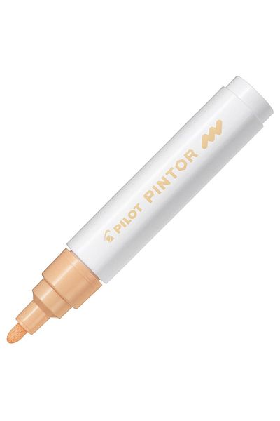 Pilot Pintor Marker Pen M Nib Pastel Orange