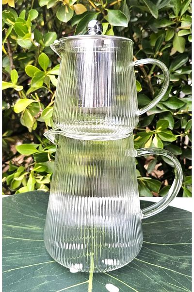 devigo Heat Resistant Borosilicate Glass Round Teapot| Borosilicate Glass Teapot