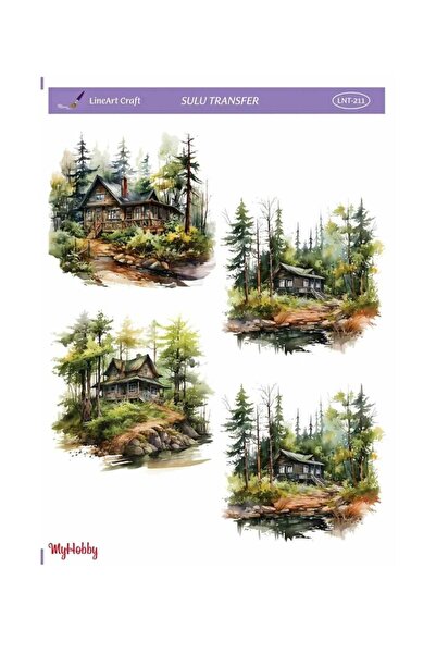 LİNEART Lineart Sulu Transfer LNT211 25x35cm