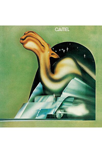 Gereksiz Şeyler Camel Camel Plak