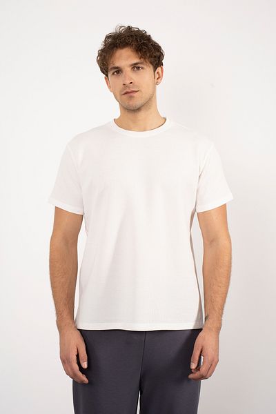 PAKONN Ecru Men's Waffle Regular/Normal Cut Cotton Crew Neck Short Sleeve T-Shirt