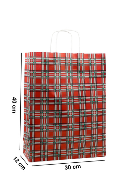 repro design Yılbaşı Temalı Ekoseli Burgu Saplı Kağıt Poşet 30 x 40 x 12 cm - 2 Adet Yılbaşı Hediye Paketi