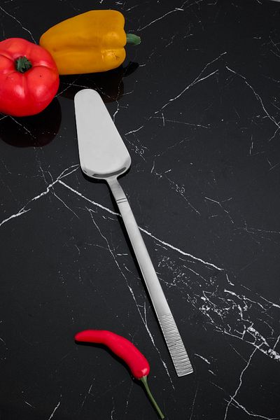 Cooker Stainless Steel Saddle Spatula Pastry Dessert Baklava Pastry Lifter
