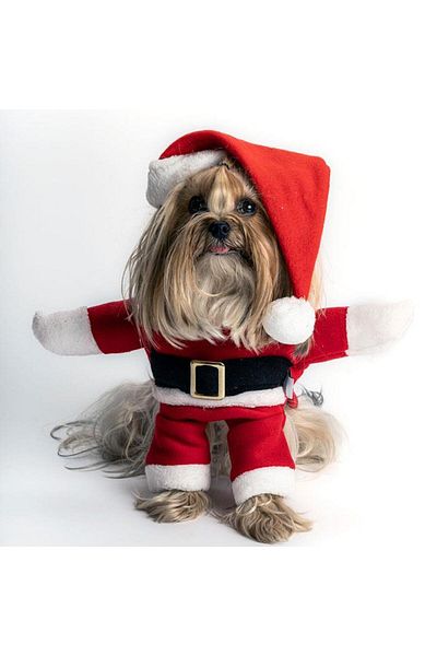 MAX DESİGN Santa Claus Costume Suitable For Medium Race Dogs Fleece Bust61-66cm Back56cm 2XLarge