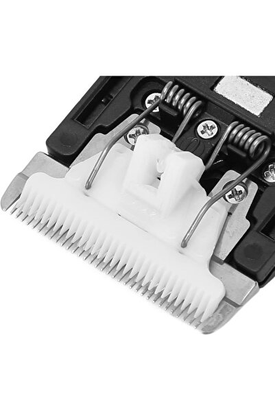 tufty رأس احتياطي لشفرات الحلاقة ذات 5 مراحل