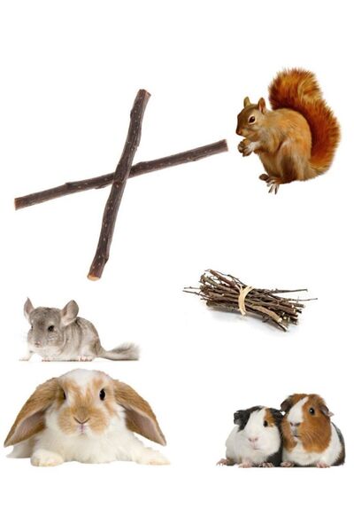 KİNTSUGİ Kemirgenler Için Elma Ağacı Kemirme Dalı