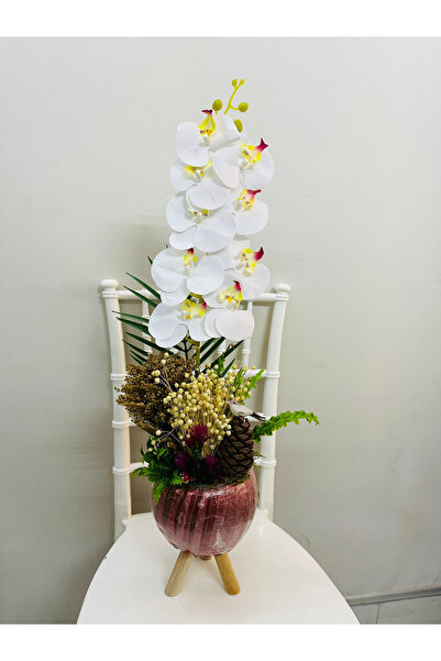 Orkidetr Yapay Islak Orkide
