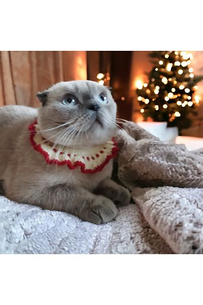 Canbutik Handcrafted Knitted Cat and Dog Collar Leash