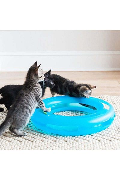 Fat Cat Crazy Circle Ball Cat Toy Blue