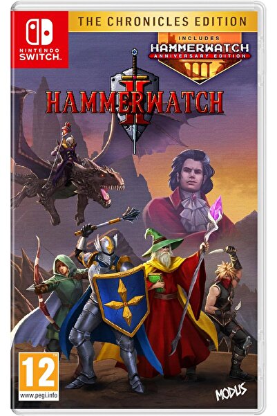 Nintendo Hammerwatch 2 Chronicles Edition Nintendo Switch Oyun