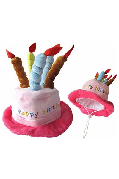 ARDSU Cat Dog Party Hat