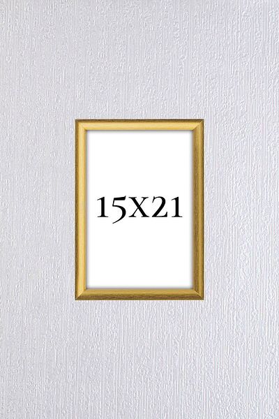 AS TİCARET Gold Photo Frame (a5)15x21