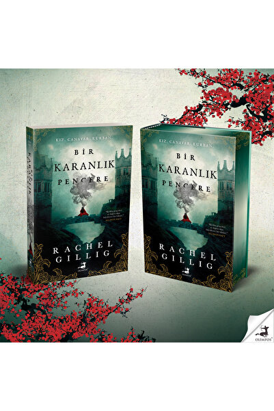 Olimpos Yayınları Bir Karanlık Pencere - Rachel Gillig (Ciltli Özel Baskı)