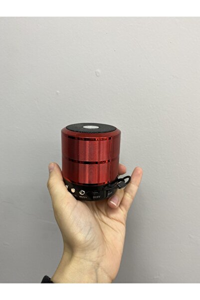 ALOVED TEKNOLOJİ BLUETOOTHLU MİNİ SPEAKER WS-887 HOPARLÖR