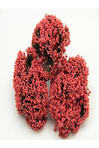 Kazanabil دمية زهرة سيبسو وحلية حلوى الزفاف باللون الأحمر