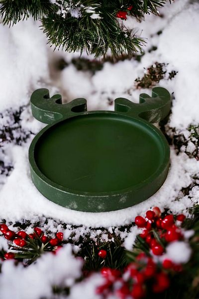 Paradise Work New Year's Special Tray - Presentation Deer
